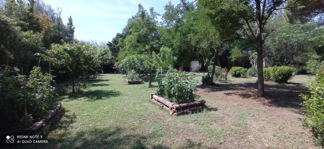 Le Mas Neuf 1752 Arlés Exterior foto
